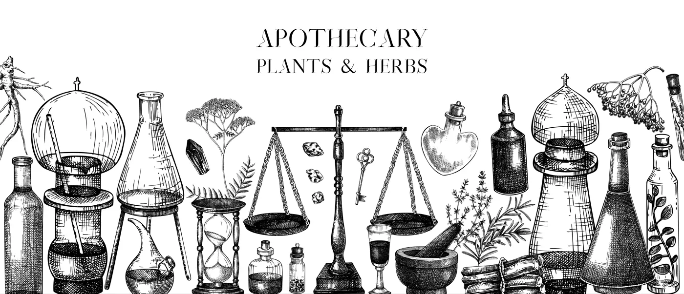 Herbal medicine ingredients banner. Antique apothecary background. Hand-drawn vector illustrations. Alchemy glassware sketches. NOT AI generated Illustration